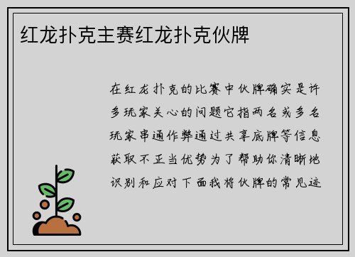 红龙扑克主赛红龙扑克伙牌